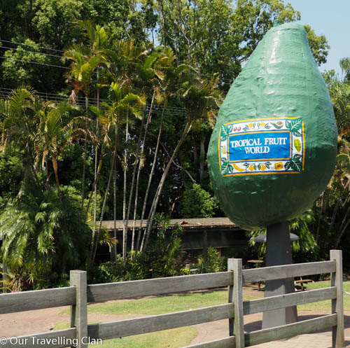 Entrance of Tropical Fruit World a giant avocado