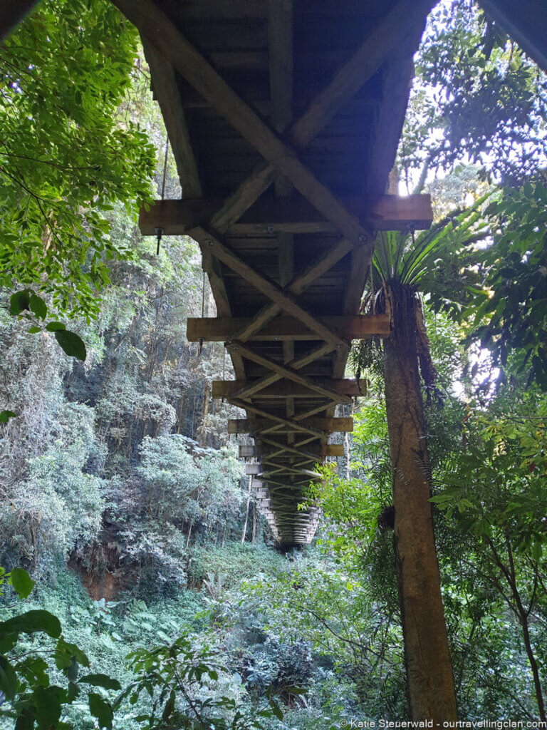 Under Suspension Bridge Dorrigo National park